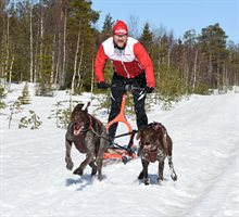 ESLA Adventure - Hundsläde